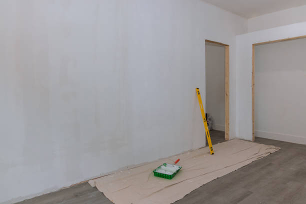 Best Attic Mold Removal  in Trezevant, TN