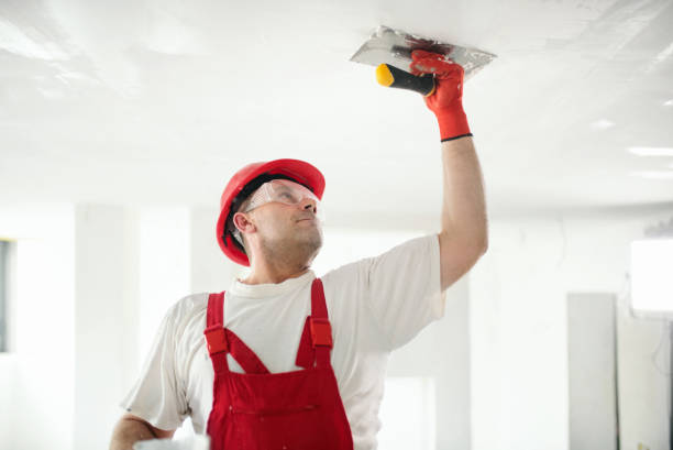 Best Mold Removal for HVAC Installations  in Trezevant, TN